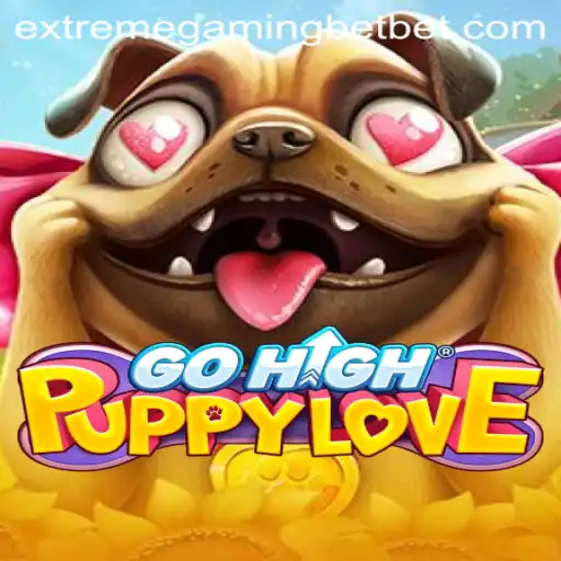 Discover the Thrills of GoHighPuppyLove in the Extreme Gaming Casino